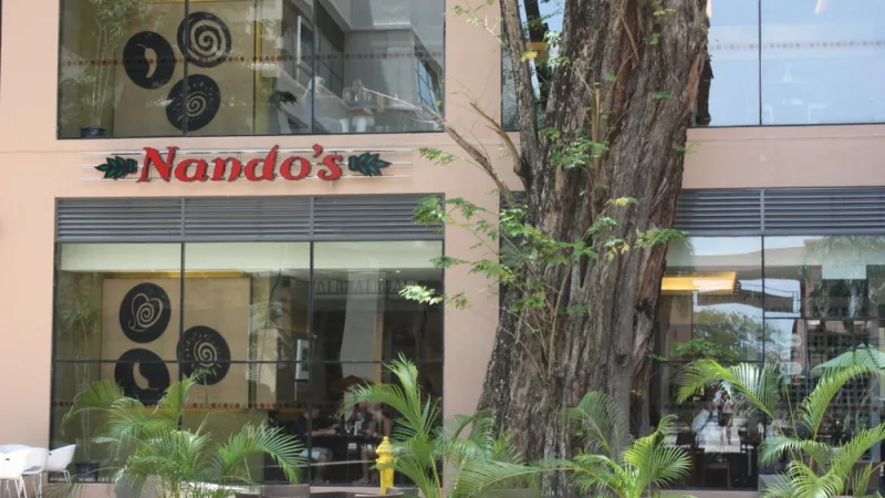 Nando's Specials: The Peri-Peri Story, Ordering Smart and Comparing Chicken Chains in South Africa