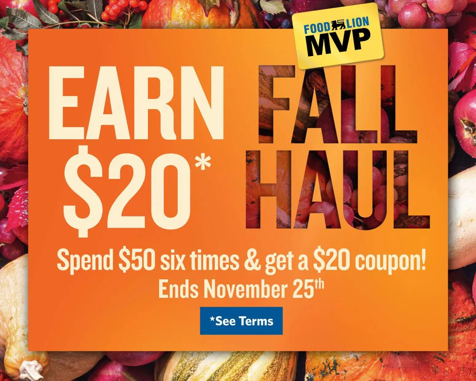 Food Lion Weekly Ads - Page 5 of 16